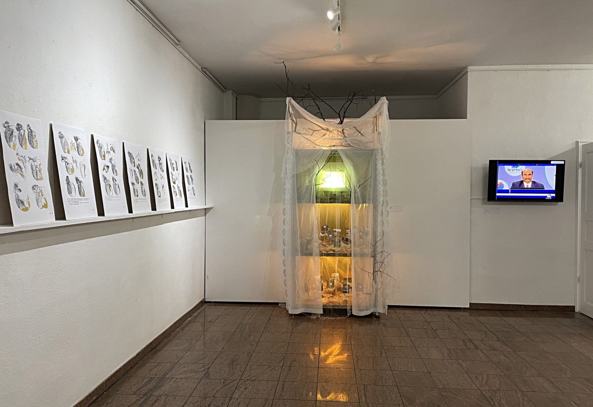 Теория заговора