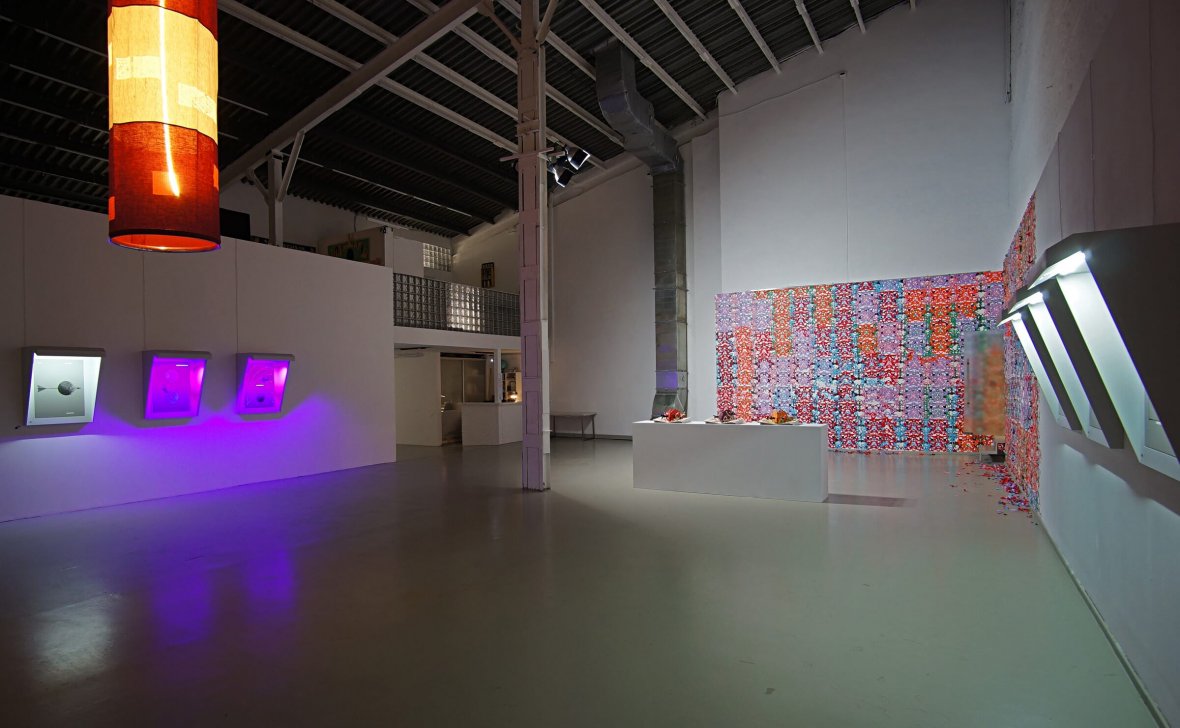 Вид выставки