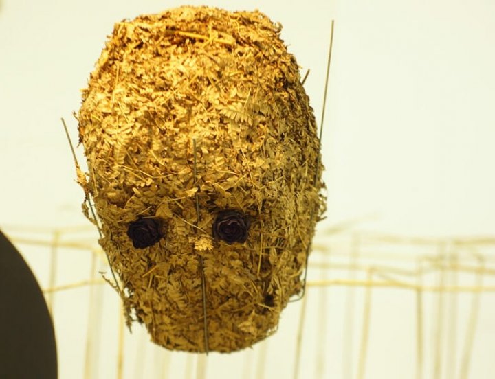 Долгов Илья _2