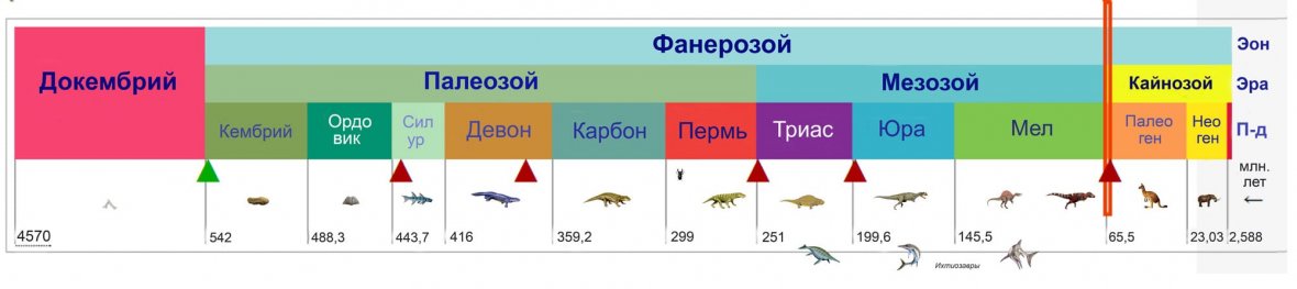 Носители. Фанерозой