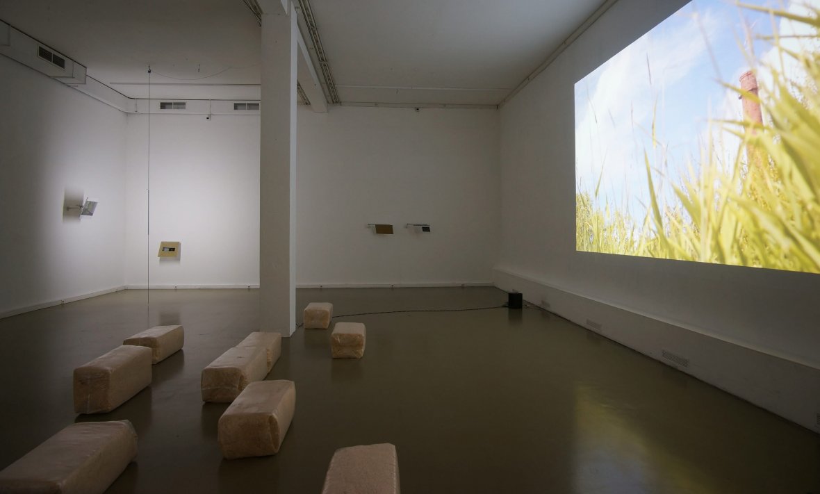 Метаболический дизайн