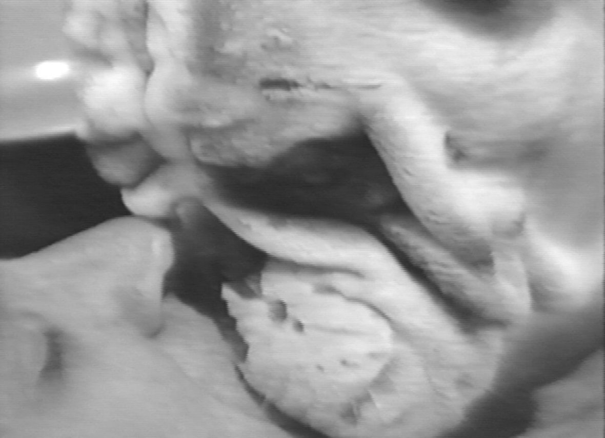 Клер Куилти мл.