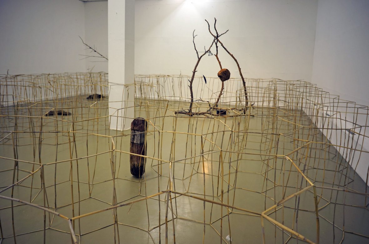 Модель природы, модель Гёте