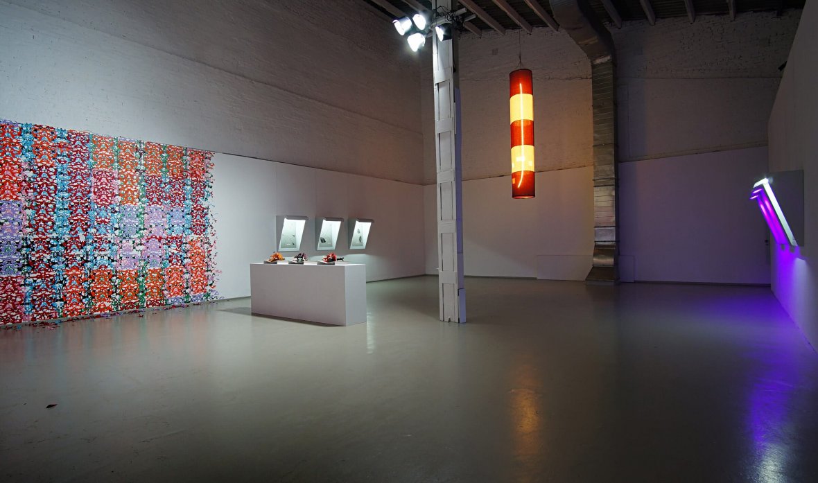 Вид выставки